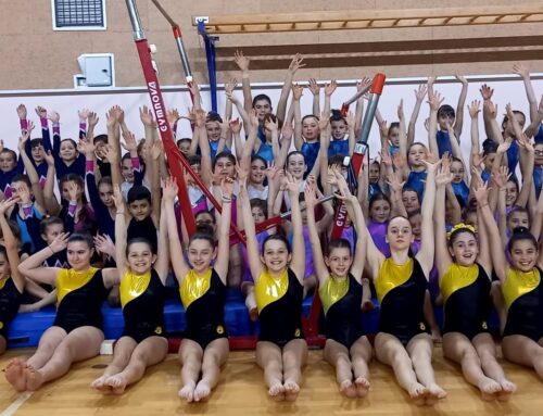 GINNASTICA ARTISTICA: PROVINCIALI LIBERTAS NEL SEGNO DI VIRTUS, PORCIA E SKORPION